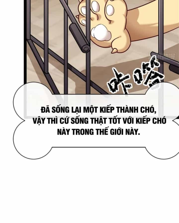 Kế Hoạch Nuôi Dưỡng Streamer Của Cẩu Hoàng - Chương 1 - ảnh 41