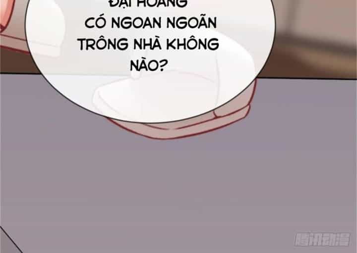 Kế Hoạch Nuôi Dưỡng Streamer Của Cẩu Hoàng - Chương 1 - ảnh 59