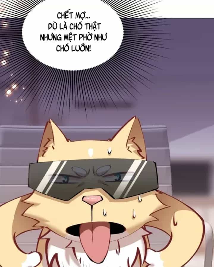 Kế Hoạch Nuôi Dưỡng Streamer Của Cẩu Hoàng - Chương 13 - ảnh 76