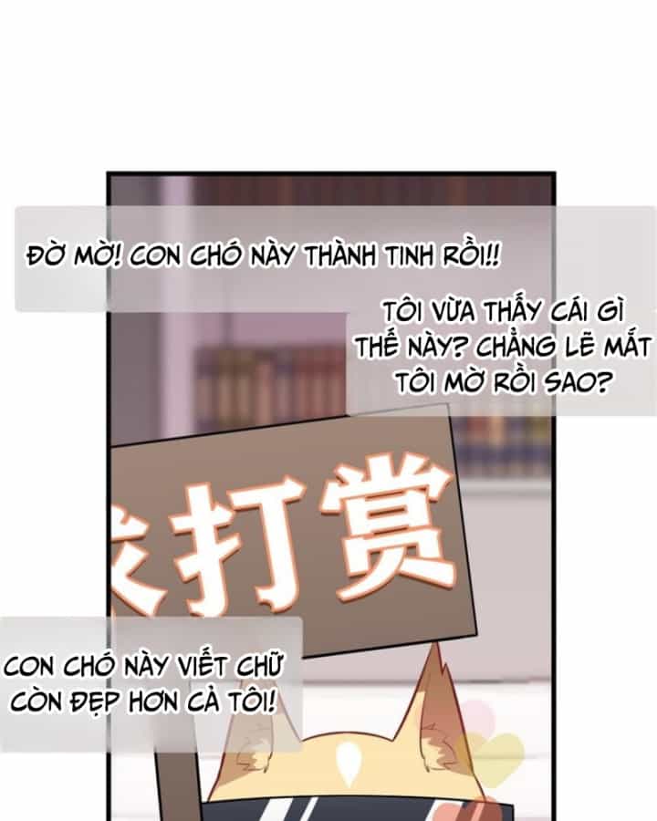 Kế Hoạch Nuôi Dưỡng Streamer Của Cẩu Hoàng - Chương 2 - ảnh 14
