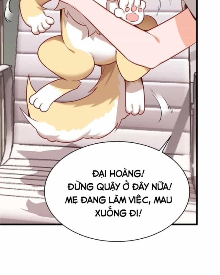 Kế Hoạch Nuôi Dưỡng Streamer Của Cẩu Hoàng - Chương 2 - ảnh 26