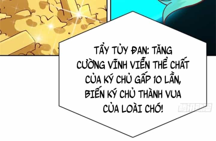 Kế Hoạch Nuôi Dưỡng Streamer Của Cẩu Hoàng - Chương 2 - ảnh 83