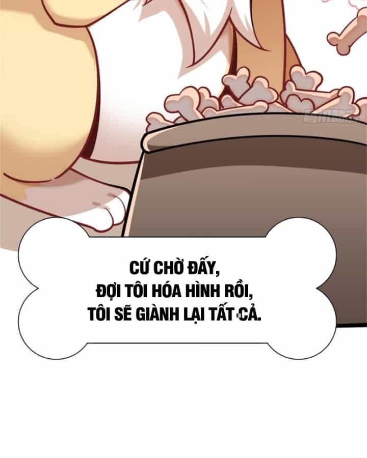 Kế Hoạch Nuôi Dưỡng Streamer Của Cẩu Hoàng - Chương 3 - ảnh 18