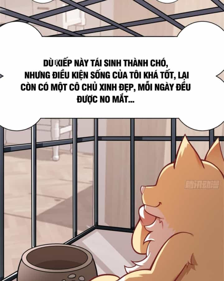 Kế Hoạch Nuôi Dưỡng Streamer Của Cẩu Hoàng - Chương 3 - ảnh 3