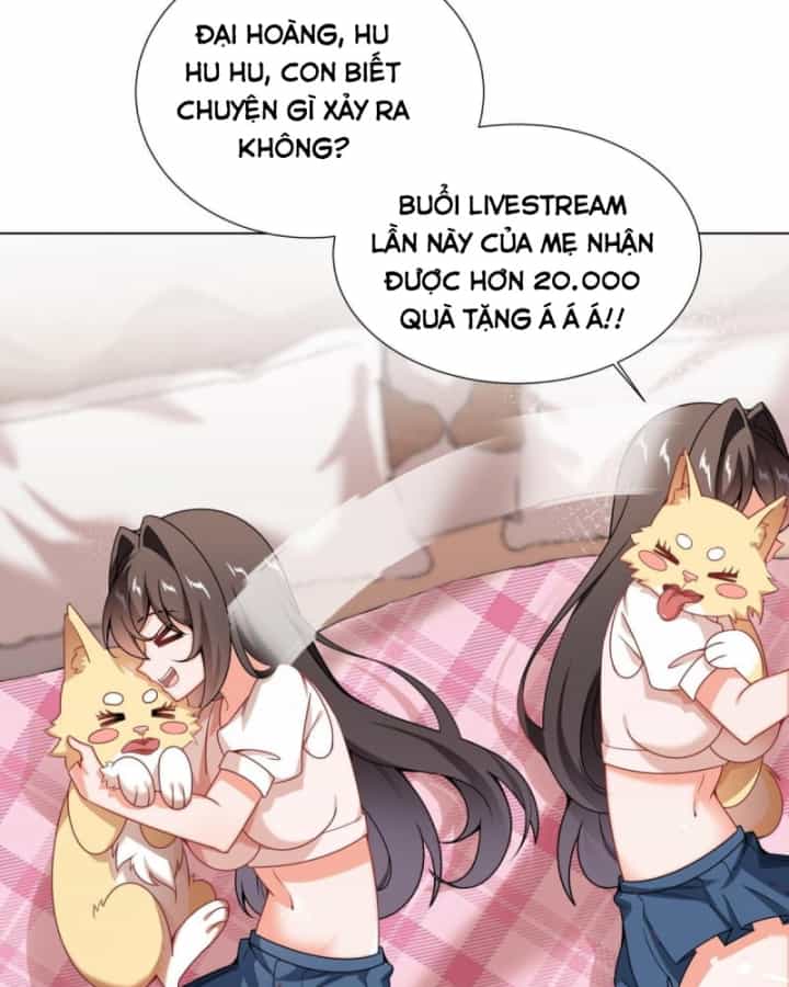 Kế Hoạch Nuôi Dưỡng Streamer Của Cẩu Hoàng - Chương 4 - ảnh 15