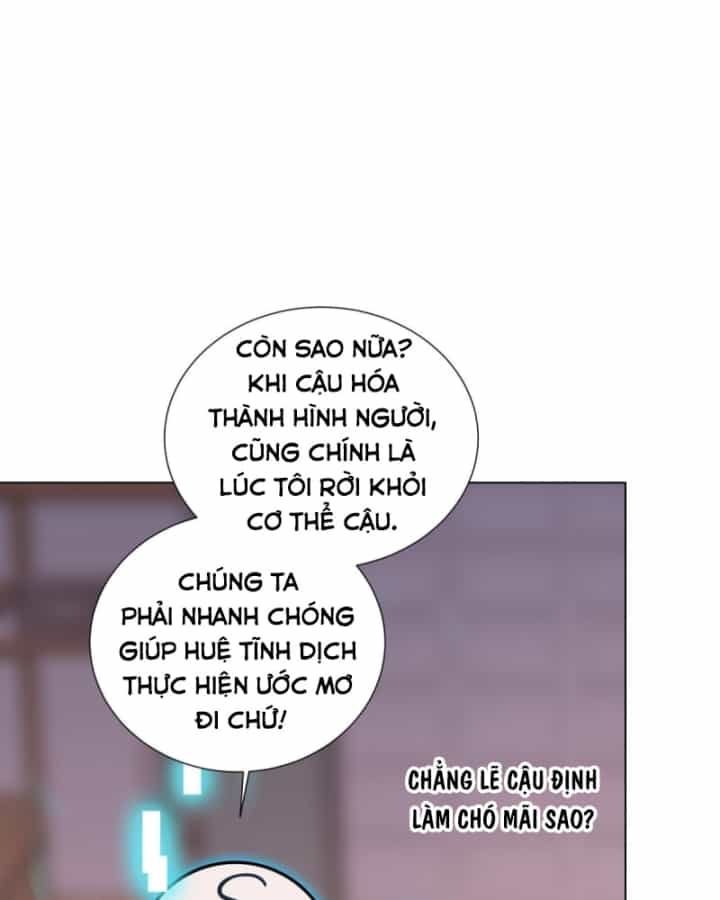 Kế Hoạch Nuôi Dưỡng Streamer Của Cẩu Hoàng - Chương 5 - ảnh 11