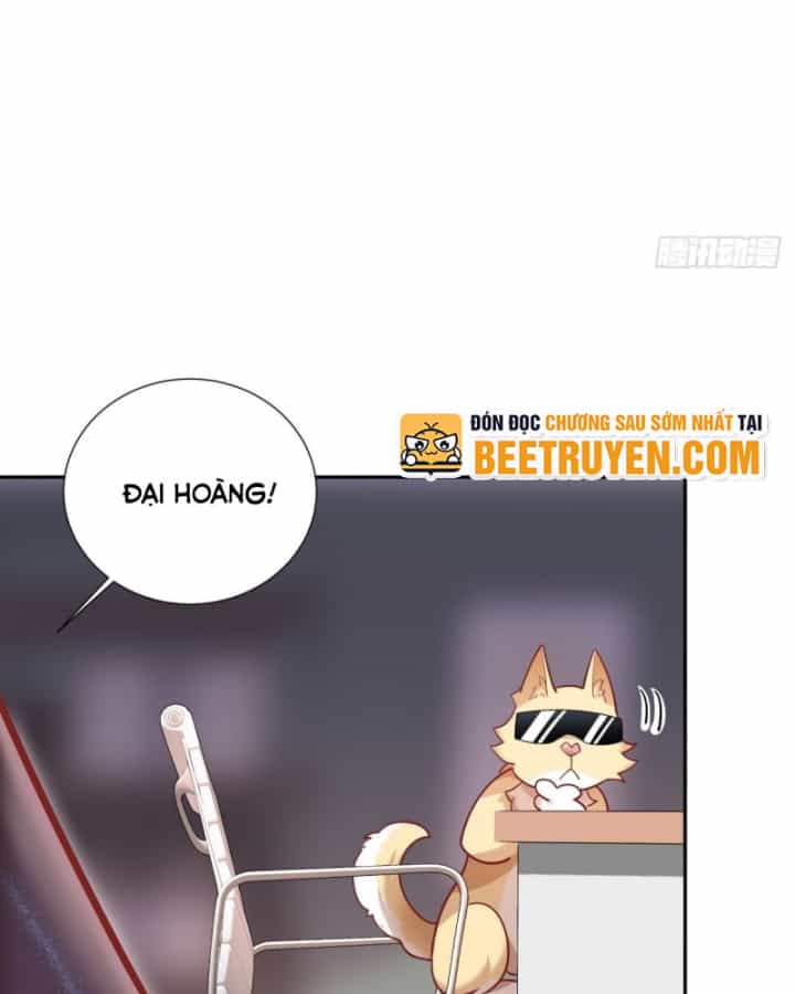 Kế Hoạch Nuôi Dưỡng Streamer Của Cẩu Hoàng - Chương 5 - ảnh 40