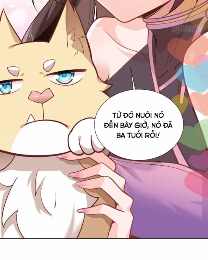 Kế Hoạch Nuôi Dưỡng Streamer Của Cẩu Hoàng - Chương 5 - ảnh 66