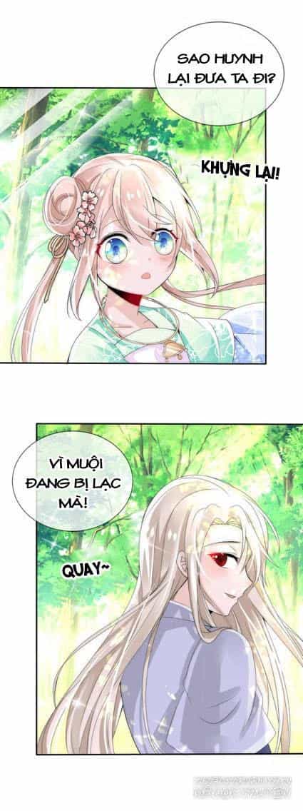 Kế Hoạch Sủng Ái Của Tiểu Công Chúa - Chương 6 - ảnh 11