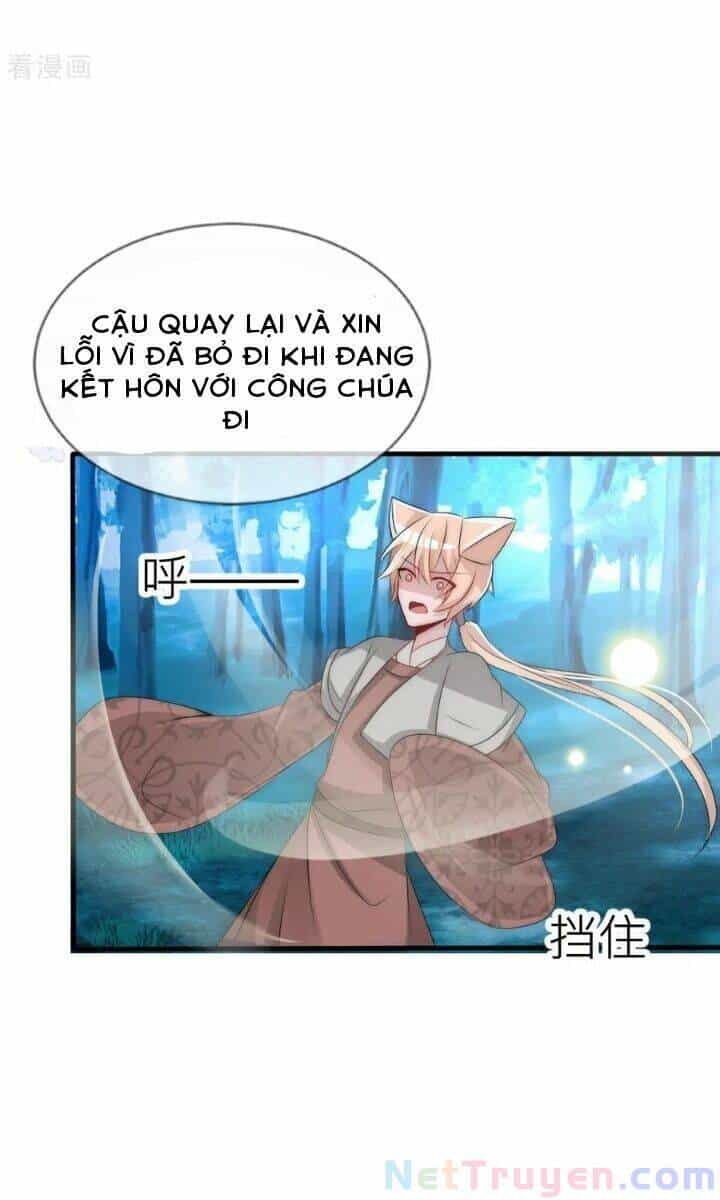 Kế Hoạch Sủng Ái Của Tiểu Công Chúa - Chương 65 - ảnh 13