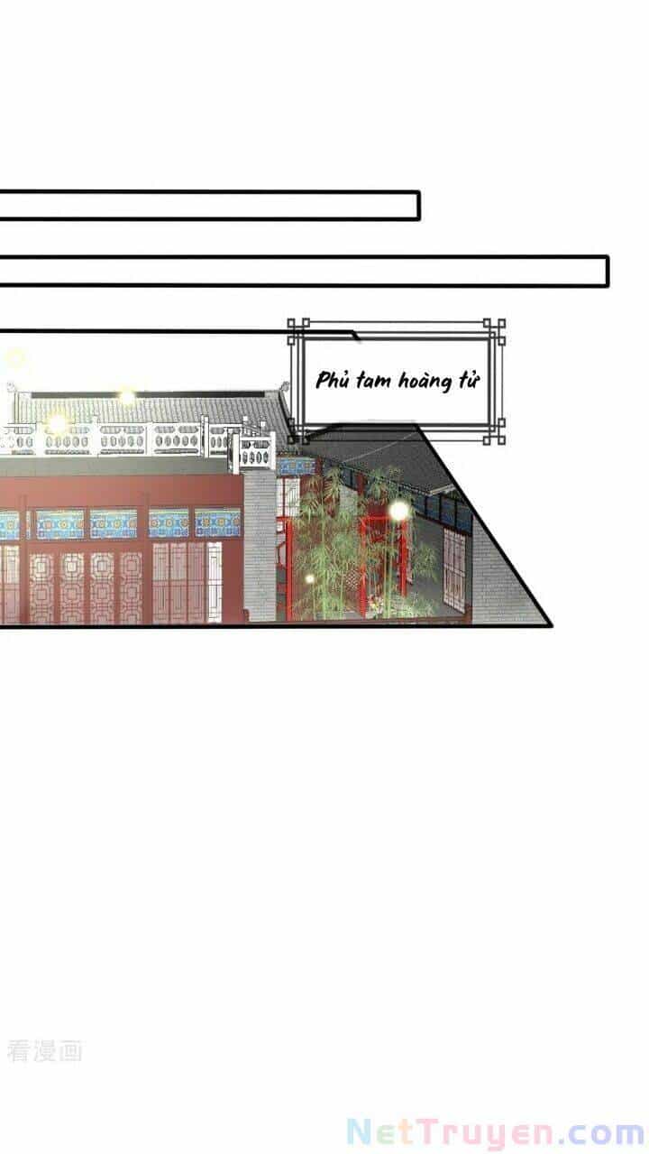 Kế Hoạch Sủng Ái Của Tiểu Công Chúa - Chương 67 - ảnh 2
