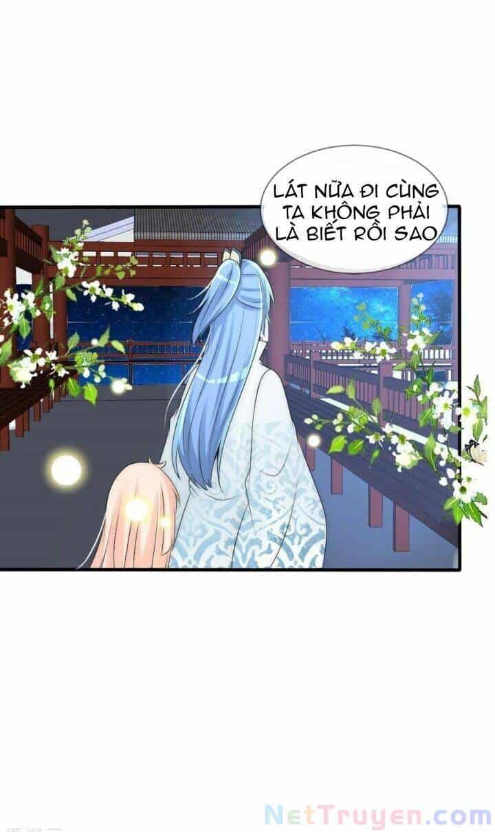 Kế Hoạch Sủng Ái Của Tiểu Công Chúa - Chương 71 - ảnh 5