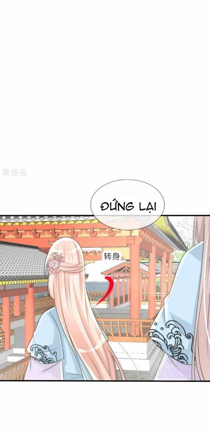 Kế Hoạch Sủng Ái Của Tiểu Công Chúa - Chương 79 - ảnh 3