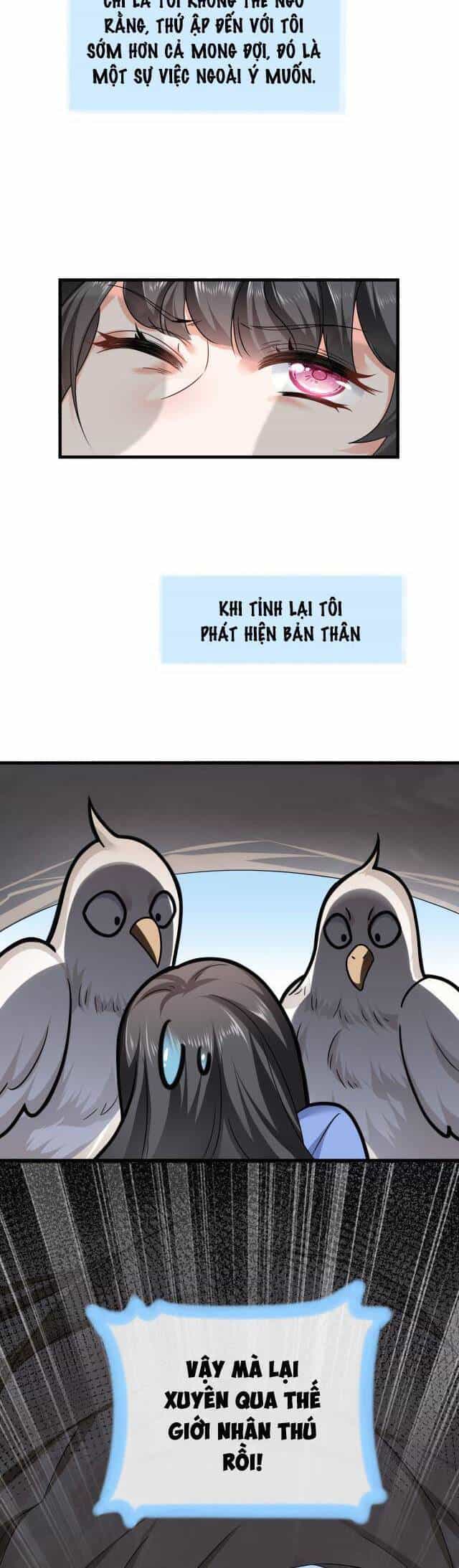 Kế Hoạch Thuần Phục Thú Phu Kiêu Ngạo - Chương 1 - ảnh 26