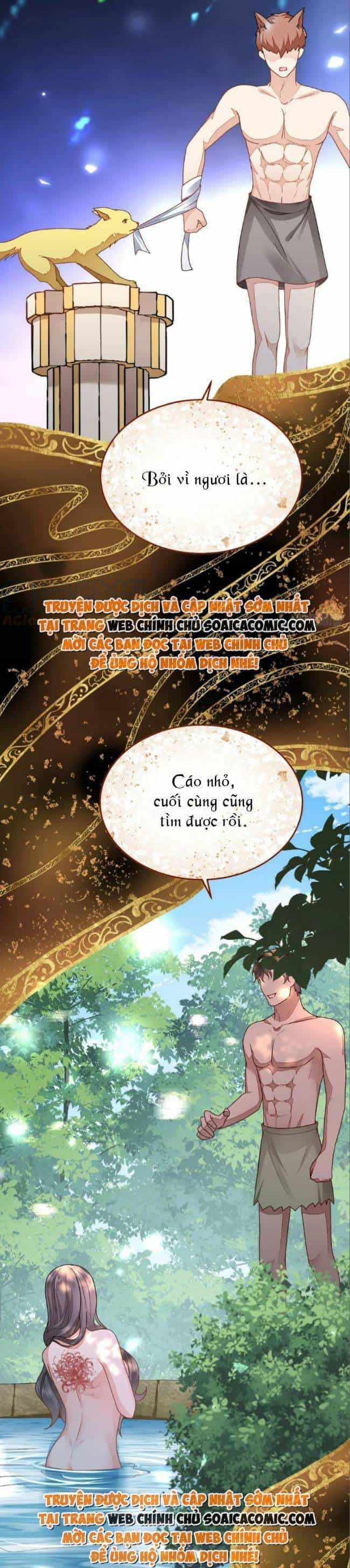 Kế Hoạch Thuần Phục Thú Phu Kiêu Ngạo - Chương 41 - ảnh 11