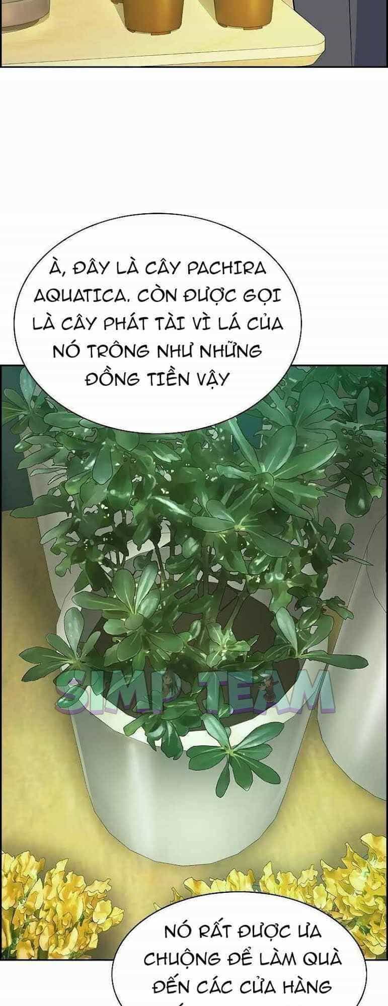 Kẻ Ngoại Lai Ở Vùng Đất Bị Ruồng Bỏ - Chương 0 - ảnh 13