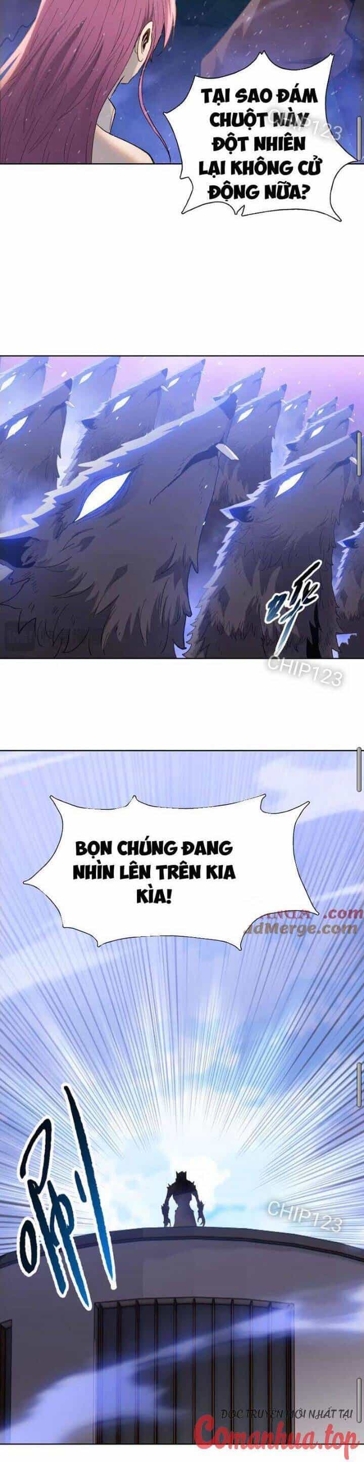 Kẻ Tàn Nhẫn Ngày Tận Thế: Bắt Đầu Dự Trữ Hàng Tỷ Tấn Vật Tư - Chương 27 - ảnh 24