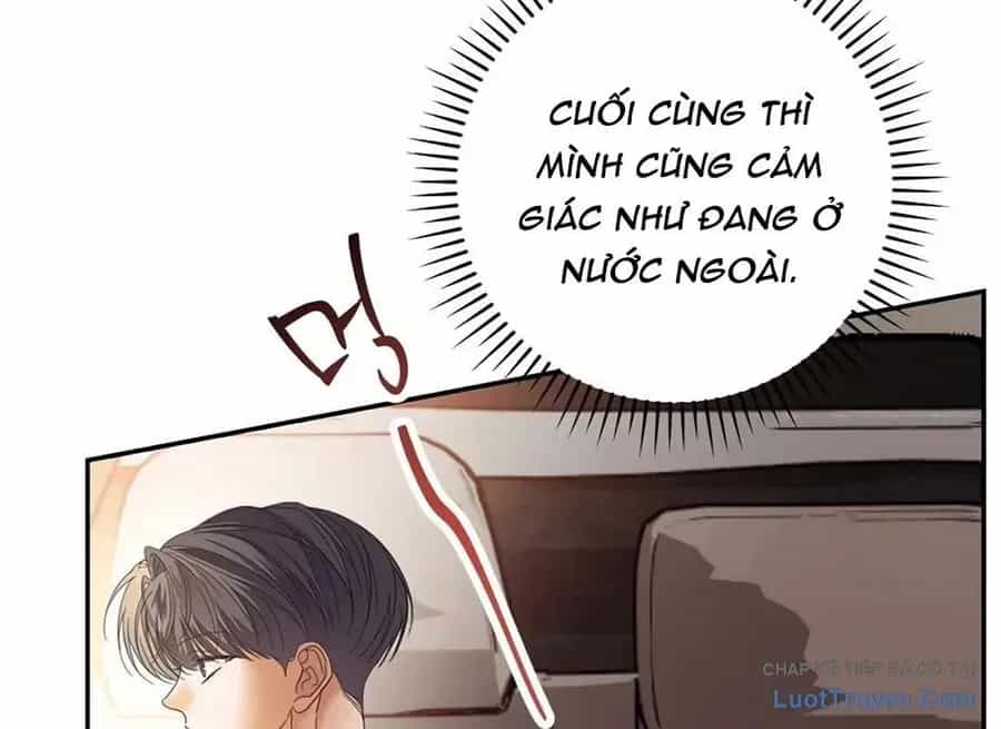 Kẻ Thống Trị Kịch Bản - Chương 49 - ảnh 146