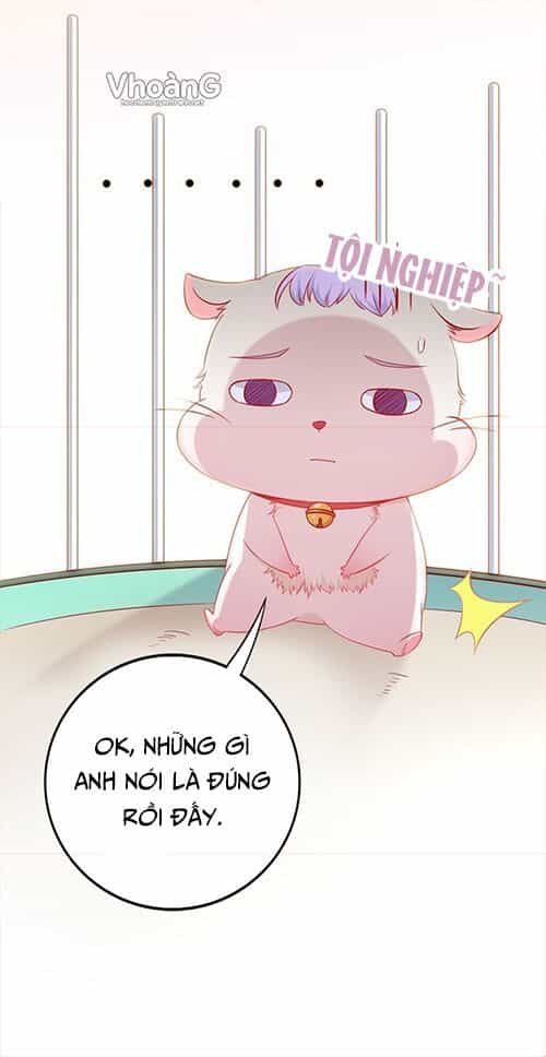 Kế Ước Ngọt Sủng:quốc Dân Lão Công Đích Tiểu Chiếm Giữ Thử - Chương 2 - ảnh 11