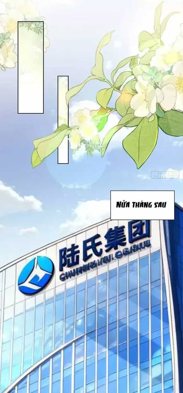 Kết Hôn Với Đại Lão Thực Vật - Chương 103 - ảnh 49