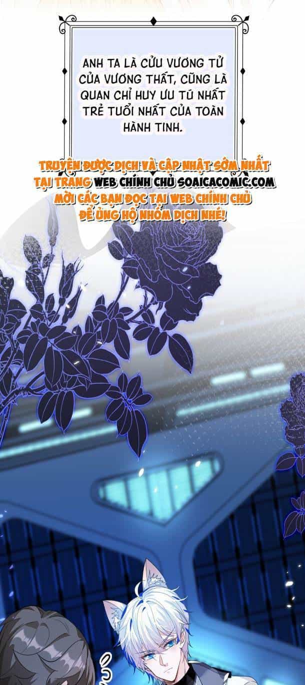 Kết Hôn Với Người Quyền Lực Nhất Hành Tinh - Chương 1 - ảnh 4