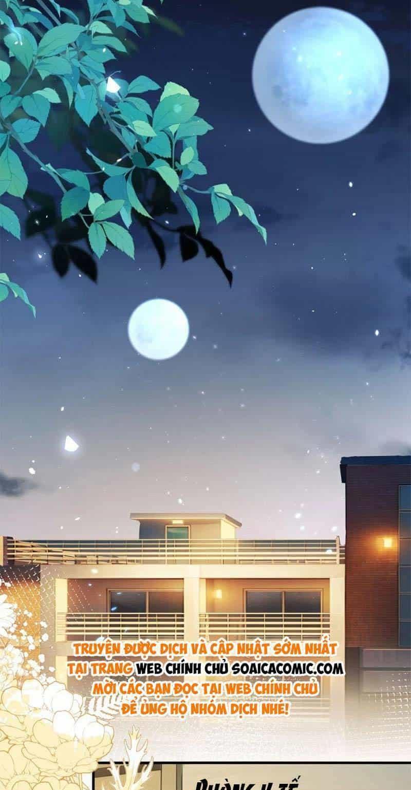 Kết Hôn Với Người Quyền Lực Nhất Hành Tinh - Chương 17 - ảnh 34