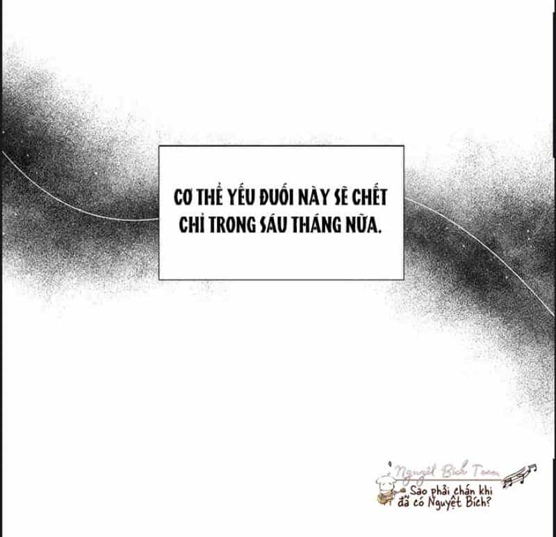 Kết Thúc Có Hậu Của Nhân Vật Phản Diện - Chương 1 - ảnh 11