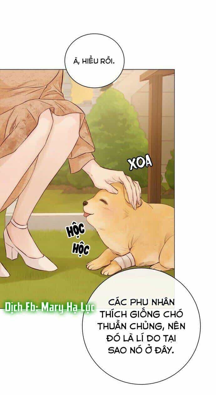 Kết Thúc Nhất Định Sẽ Có Hậu - Chương 1 - ảnh 91