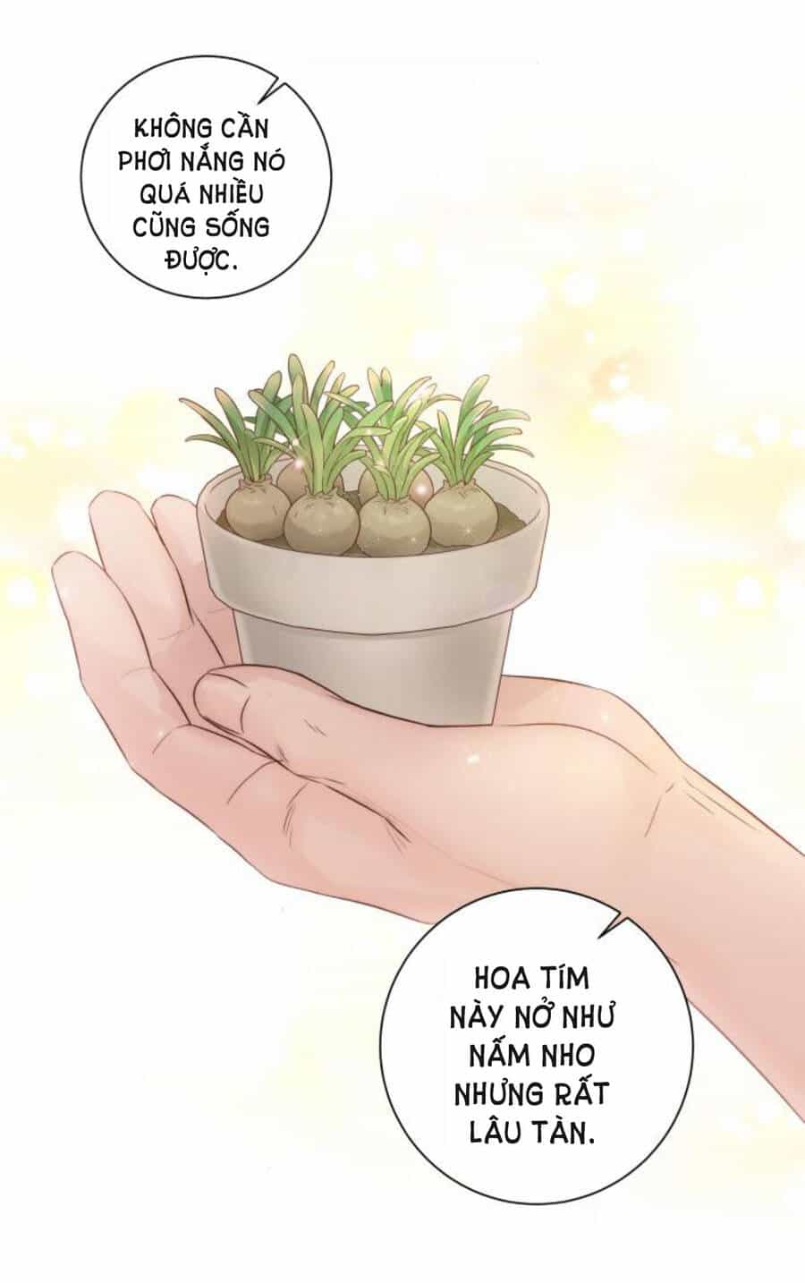 Kết Thúc Nhất Định Sẽ Có Hậu - Chương 50 - ảnh 24