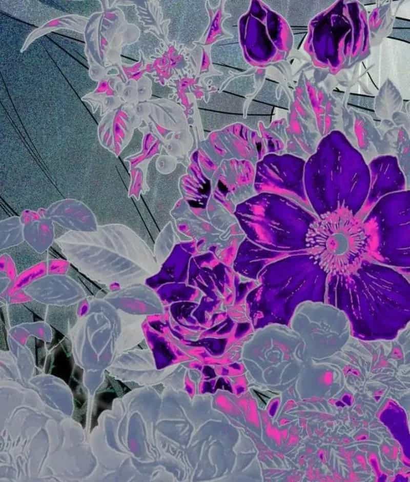 Khế Ước Của Ta Biến Thành Truyền Thuyết Ma Quái - Chương 1 - ảnh 246