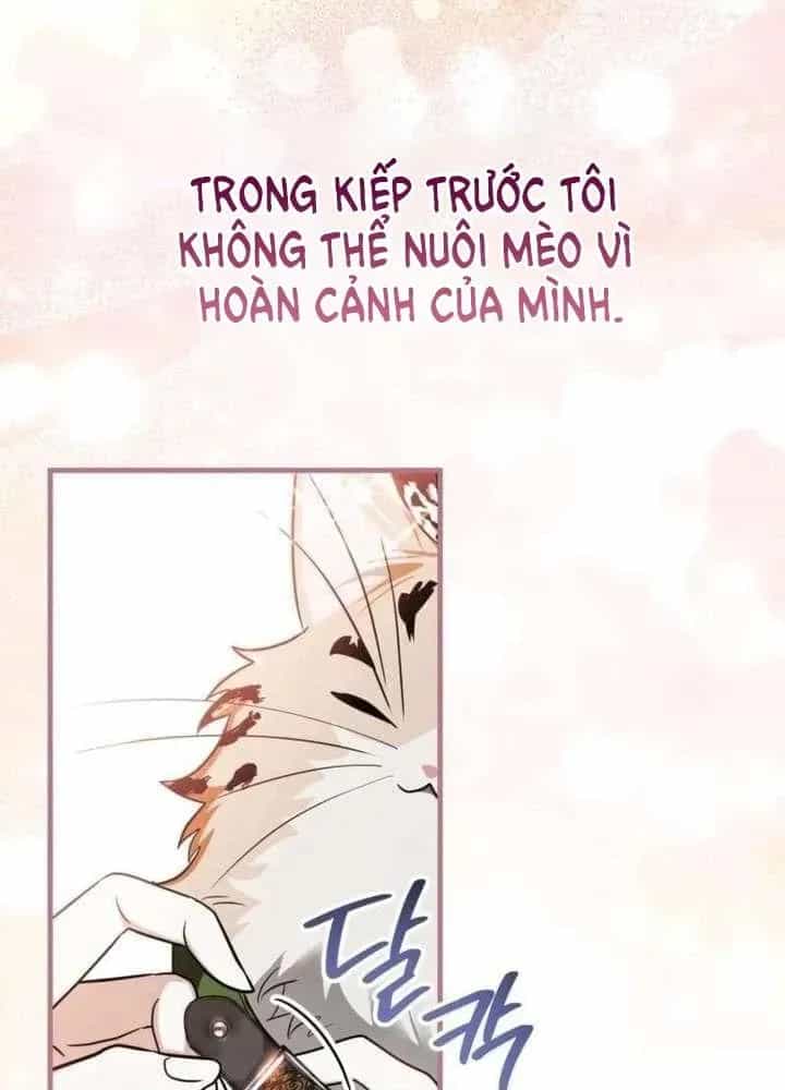 Khế Ước Của Ta Biến Thành Truyền Thuyết Ma Quái - Chương 3 - ảnh 122