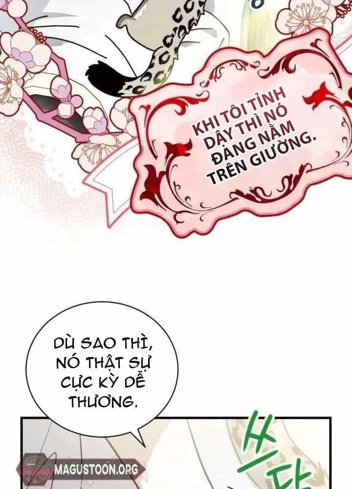 Khế Ước Của Ta Biến Thành Truyền Thuyết Ma Quái - Chương 3 - ảnh 8