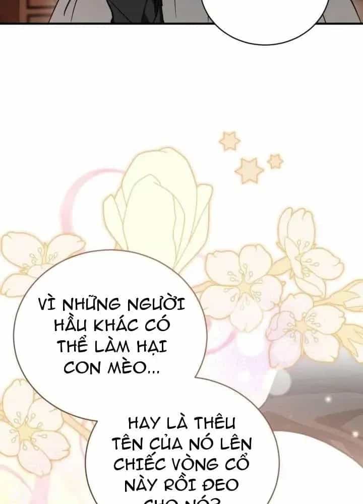 Khế Ước Của Ta Biến Thành Truyền Thuyết Ma Quái - Chương 3 - ảnh 81