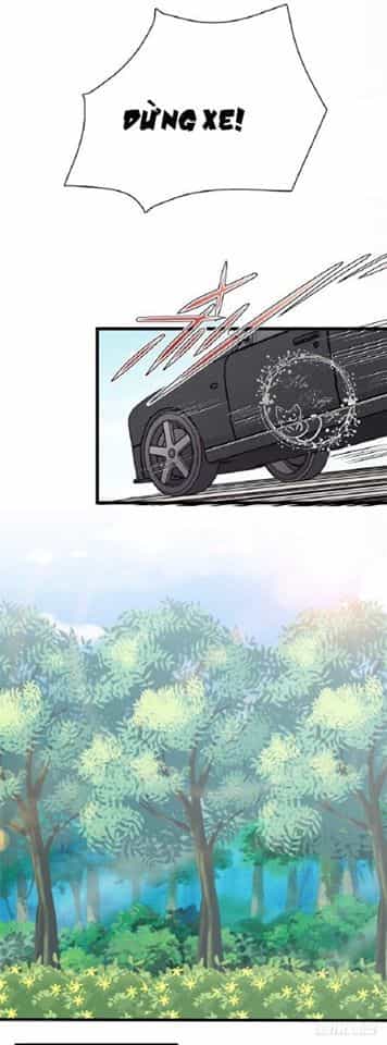 Khế Ước Với Người Yêu Cũ Của Đế Thiếu - Chương 1 - ảnh 43