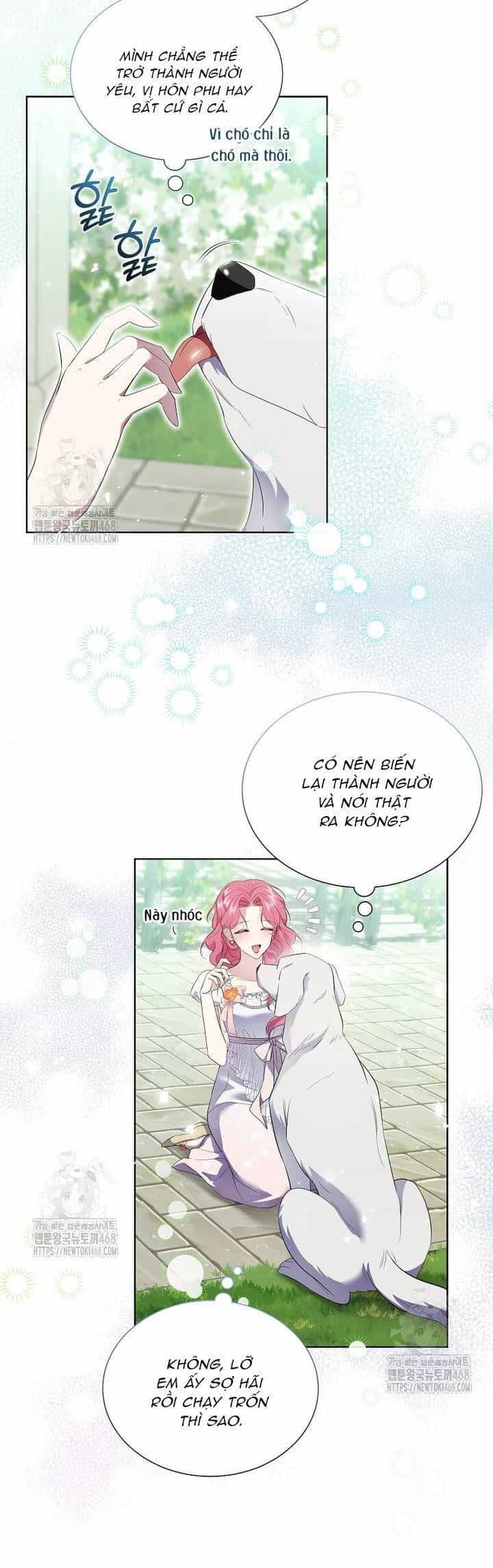 Khi Bị Nam Chính Dịu Dàng Nhưng Cố Chấp Ám Ảnh - Chương 14 - ảnh 9