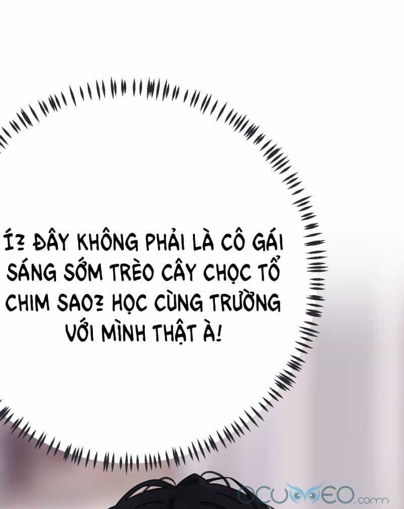 Khi Đóa Hoa Sẫm Màu Nở Rộ - Chương 5 - ảnh 3