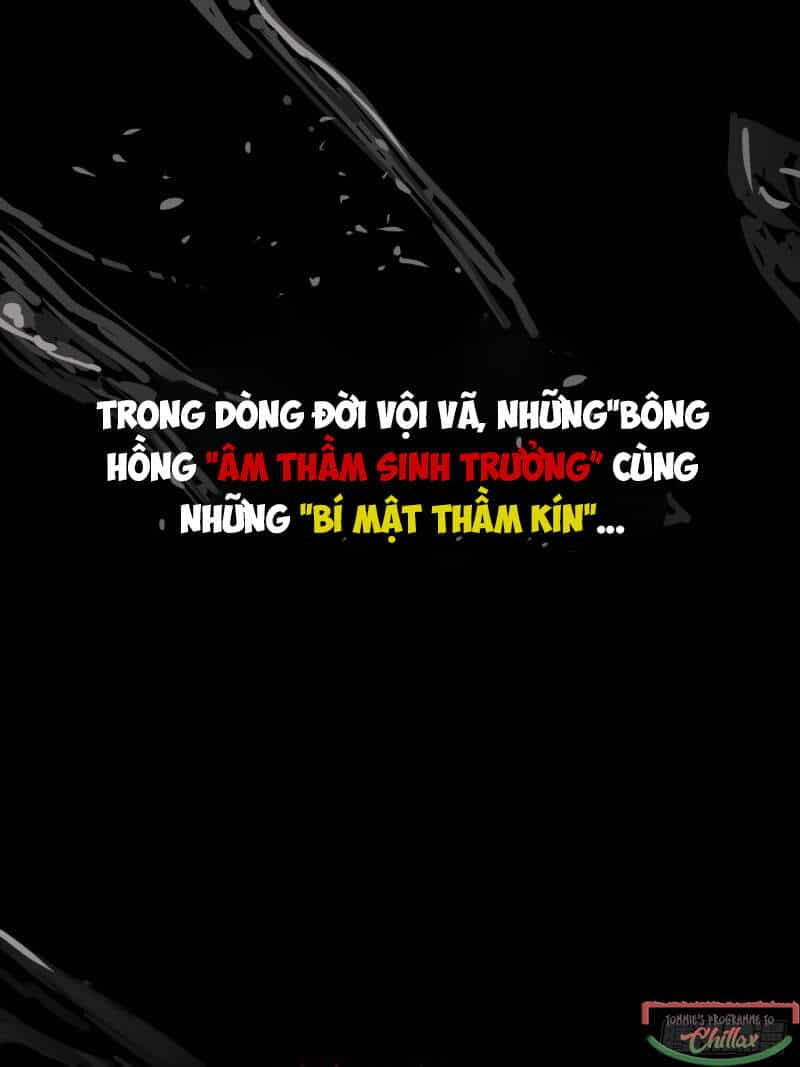 Khi Đóa Hoa Sẫm Màu Nở Rộ - Chương 0.4 - ảnh 11
