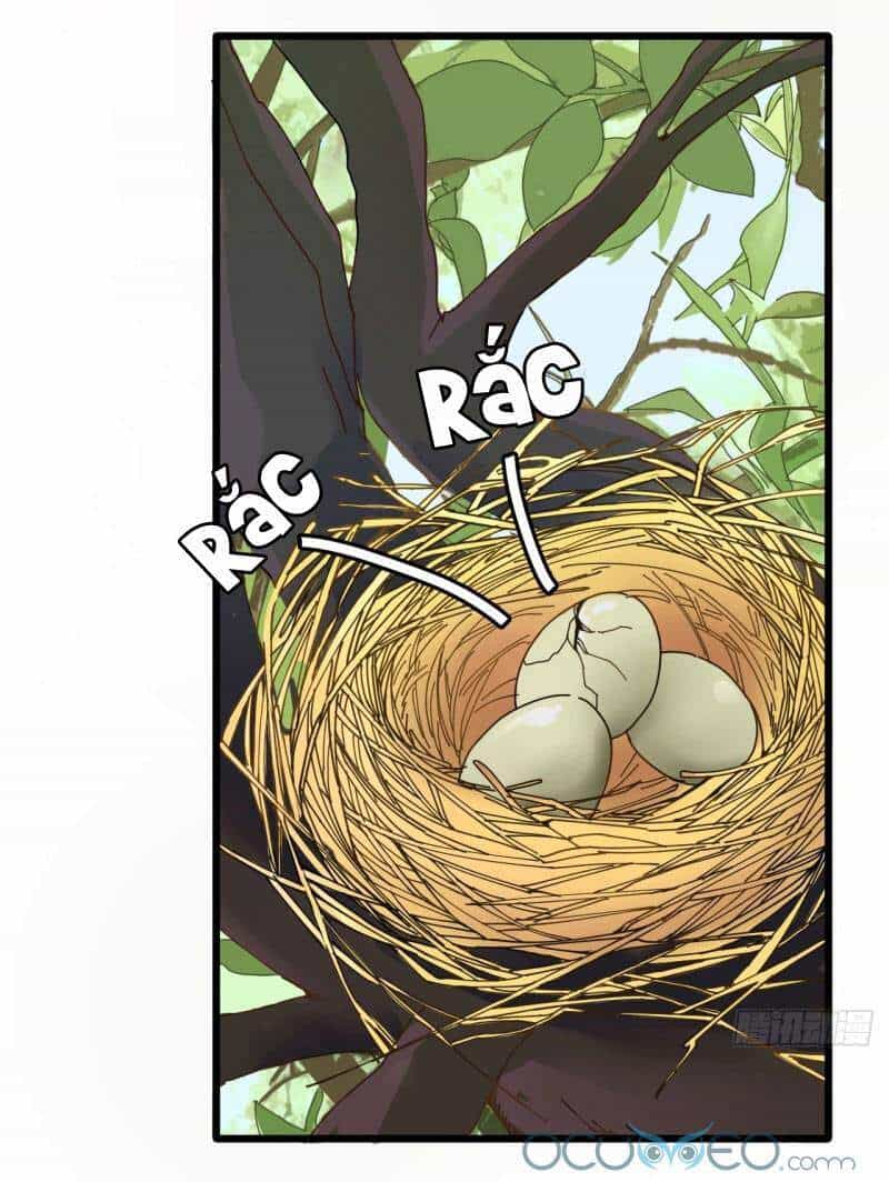 Khi Đóa Hoa Sẫm Màu Nở Rộ - Chương 3 - ảnh 32