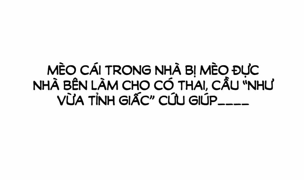 Khi Trò Chơi Ác Ma Bắt Đầu - Chương 55 - ảnh 8