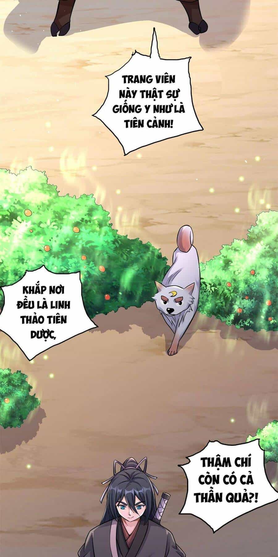 Khởi Đầu Có Kiếm Vực, Ta Sẽ Trở Thành Kiếm Thần - Chương 38 - ảnh 5