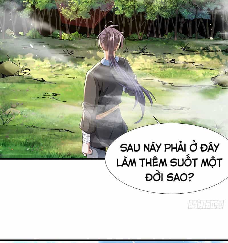 Không Có Đạo Lữ Sẽ Chết - Chương 6 - ảnh 54