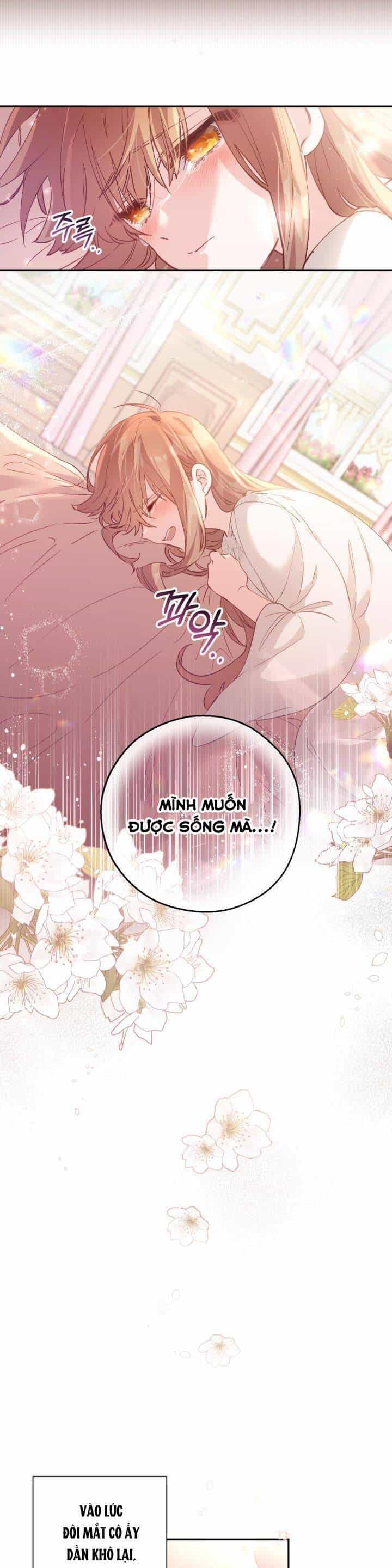 Không Có Nơi Nào Dành Cho Công Chúa Giả Mạo - Chương 4 - ảnh 5