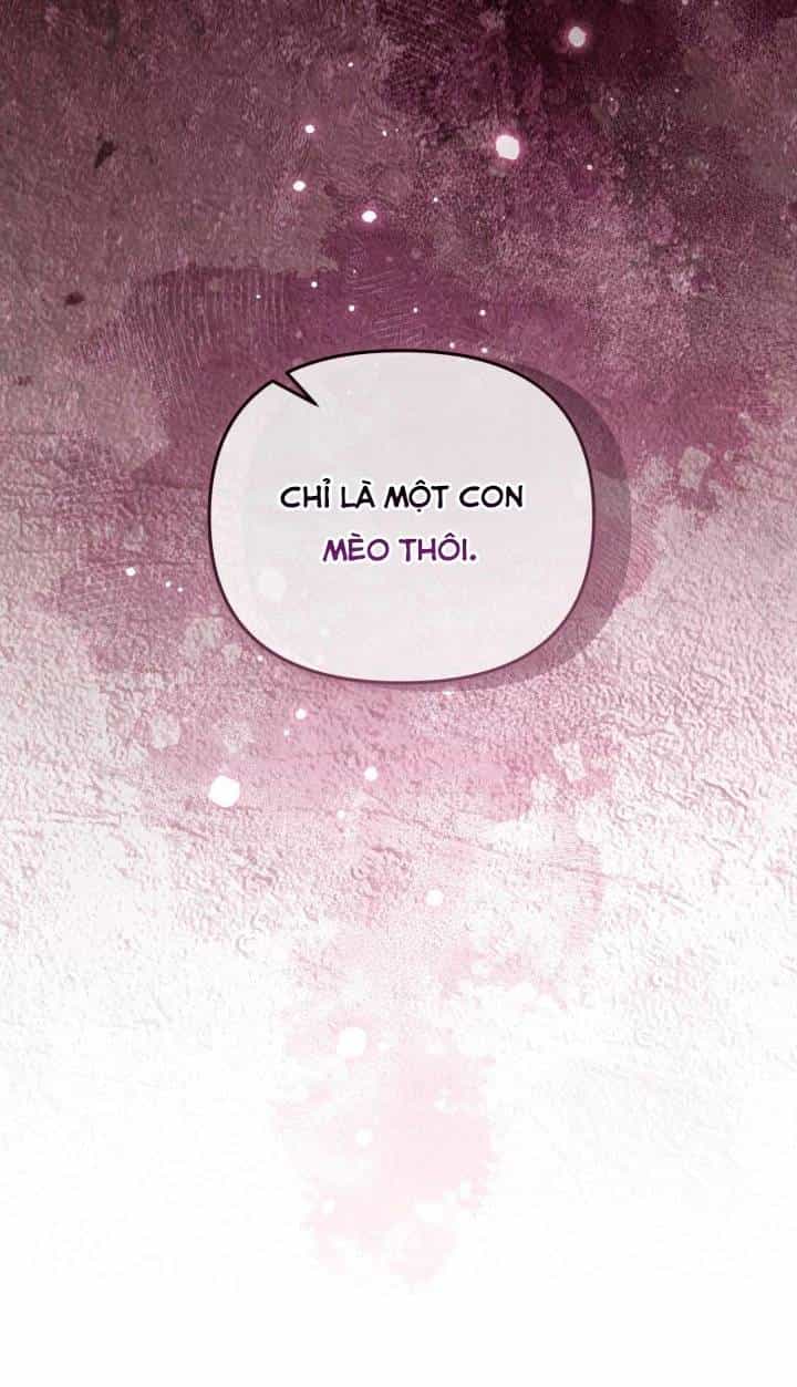 Không Có Nơi Nào Dành Cho Công Chúa Giả Mạo - Chương 75 - ảnh 38