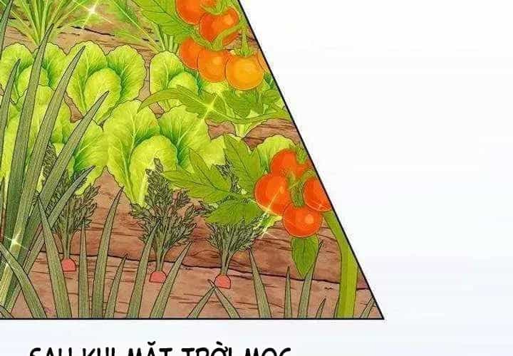 Không Gian Đặc Biệt Của Luật Sư Bình Dị - Chương 22 - ảnh 15