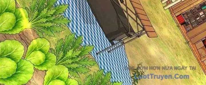 Không Gian Đặc Biệt Của Luật Sư Bình Dị - Chương 22 - ảnh 24