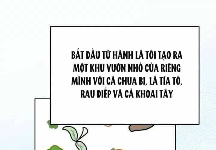 Không Gian Đặc Biệt Của Luật Sư Bình Dị - Chương 22 - ảnh 31