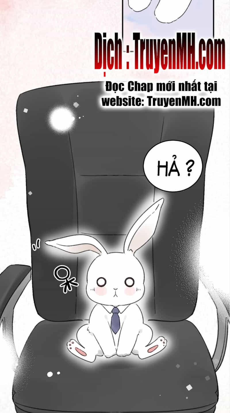 Không Nên Tùy Tiện Đối Nghịch Với Thủ Trưởng - Chương 2 - ảnh 34