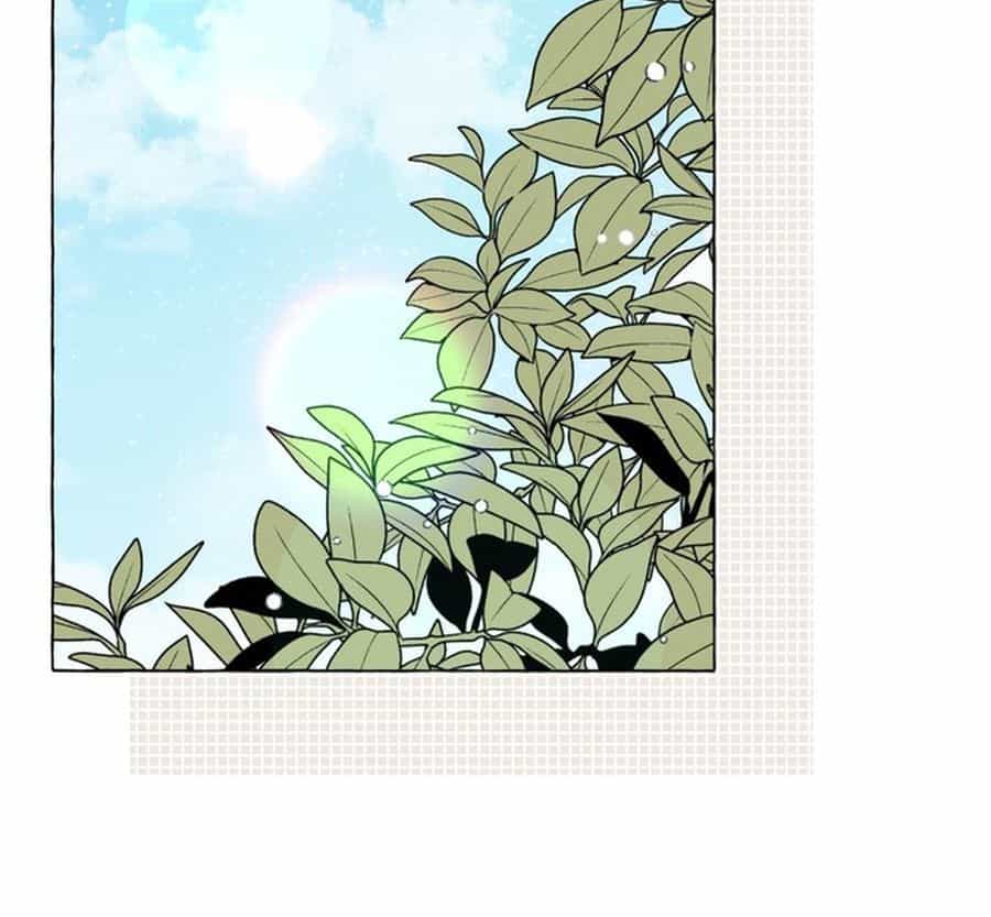 Không Phải Câu Chuyện Chuyển Sinh Thông Thường - Chương 15 - ảnh 112