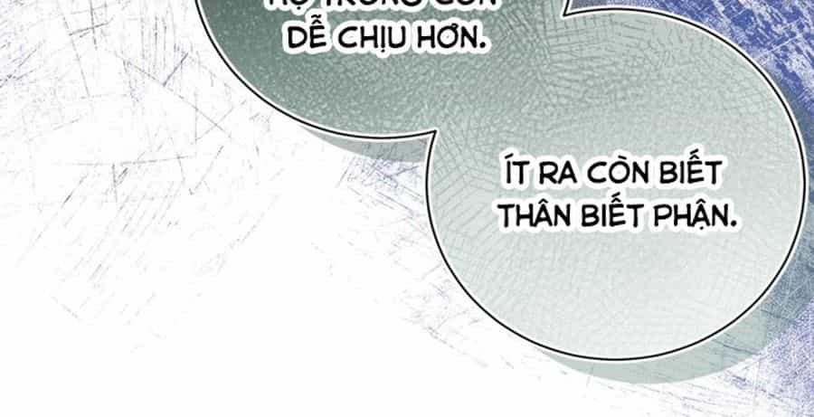 Không Phải Câu Chuyện Chuyển Sinh Thông Thường - Chương 24 - ảnh 144
