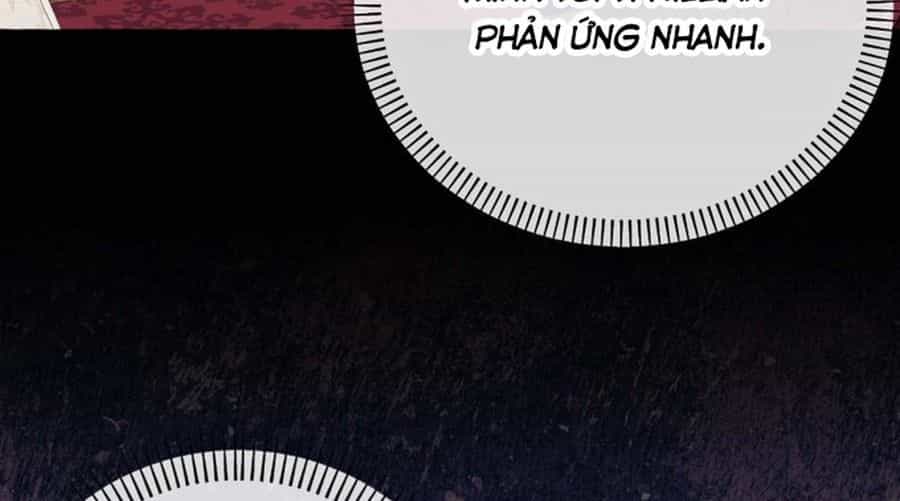 Không Phải Câu Chuyện Chuyển Sinh Thông Thường - Chương 28 - ảnh 66